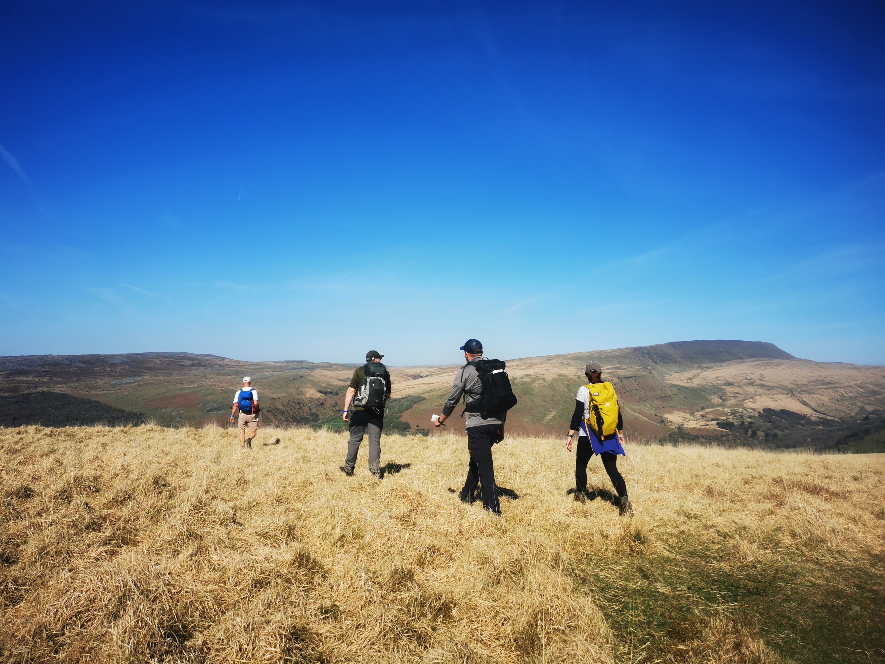 Hill & Moorland Leader courses